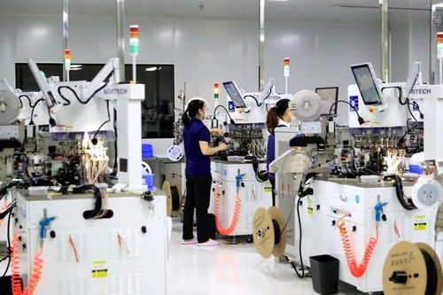 瀘州納溪 搶抓新質生產力機遇 為高質量發展蓄勢賦能